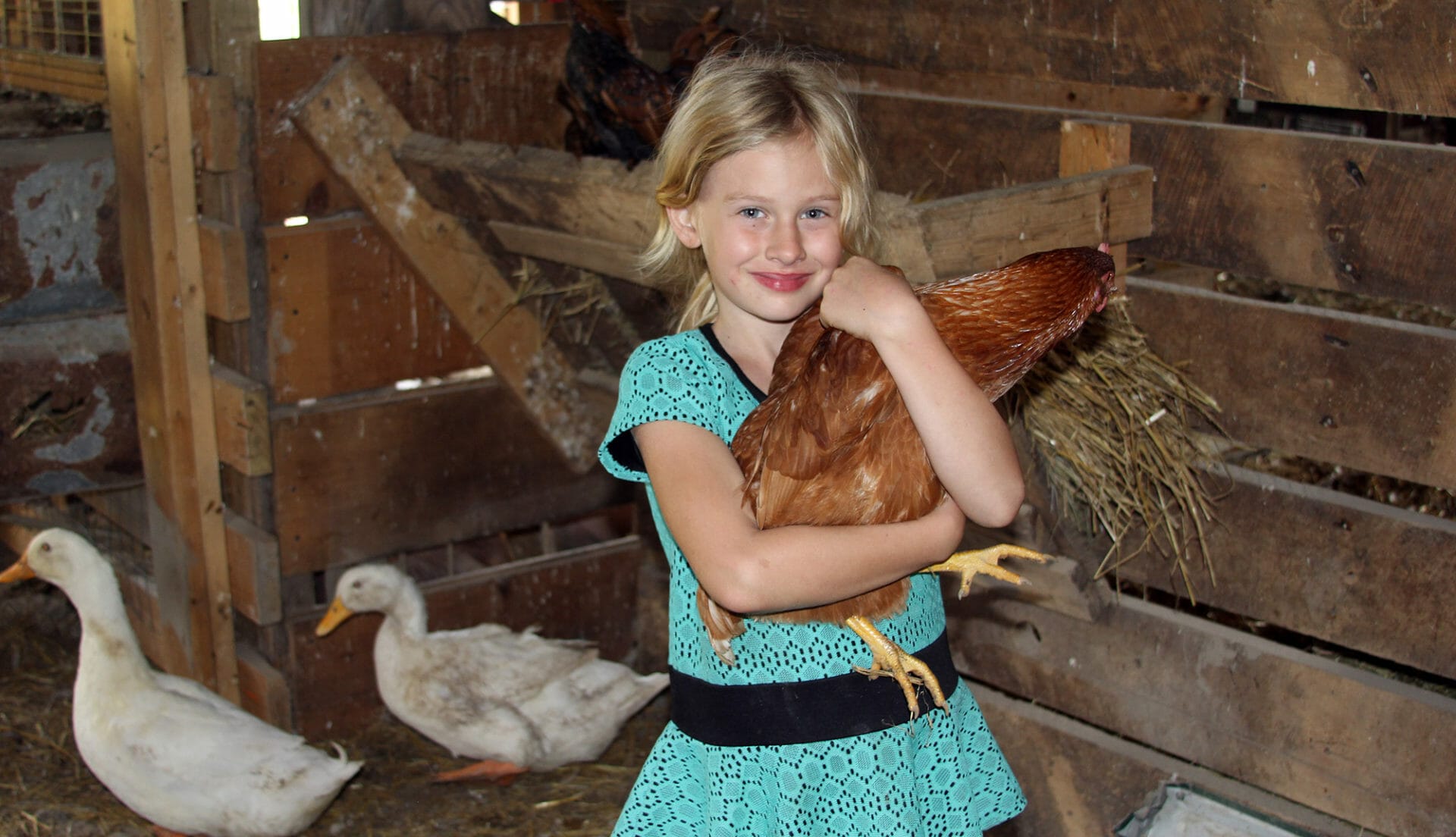 7 Ways Raising Chickens Is Great For Your Kids
