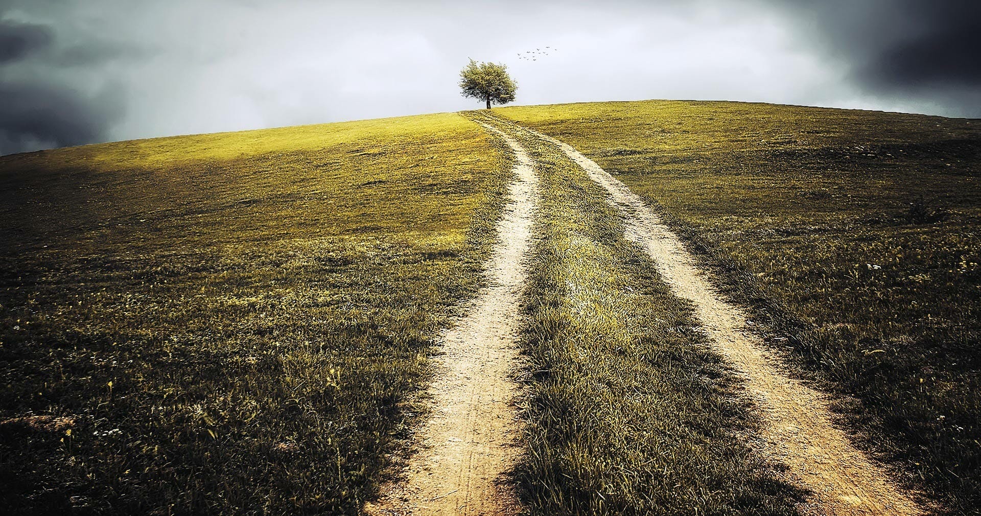 What To Consider Before You Start Your Homestead